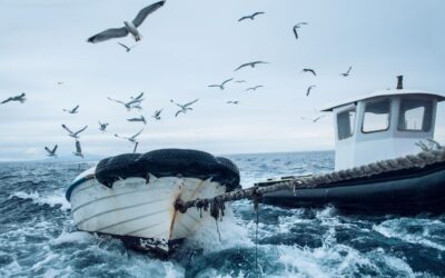 Travel Insurance – Why You Need It for Your Summer Vacation