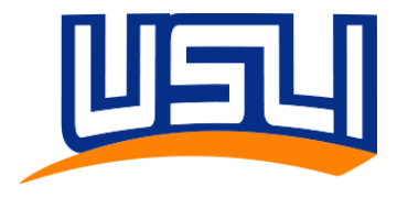 USLI logo - www.dbennettinsurance.com