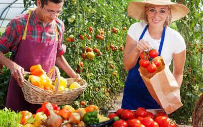 Sizzling July: How Local Agritourism and Farmers Markets Handle Peak Summer Risks