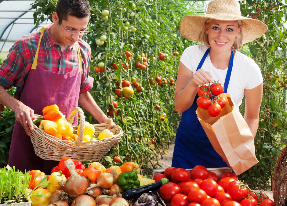 Sizzling July: How Local Agritourism and Farmers Markets Handle Peak Summer Risks